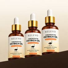 The 3-bottle bundle, Buy 1 Get 2 Free